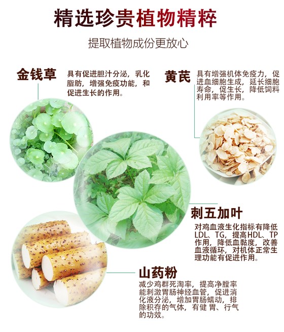 肉鸡预混料价格