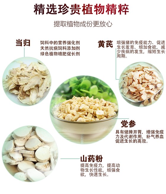 中草药饲料