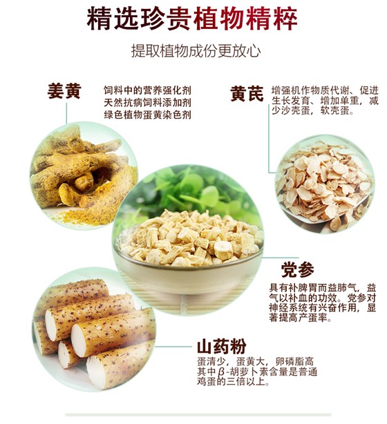 蛋鸭饲料