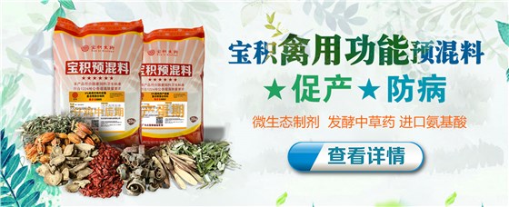 夏季微信转化(1)禽 - 副本.jpg