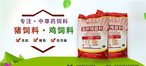 科学配制哺乳母猪饲料