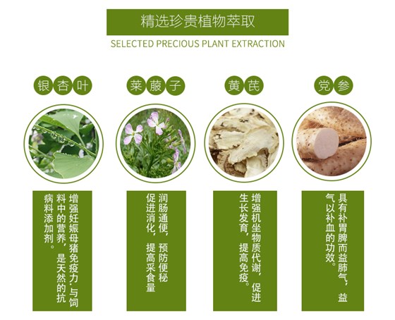 妊娠母猪专用预混料