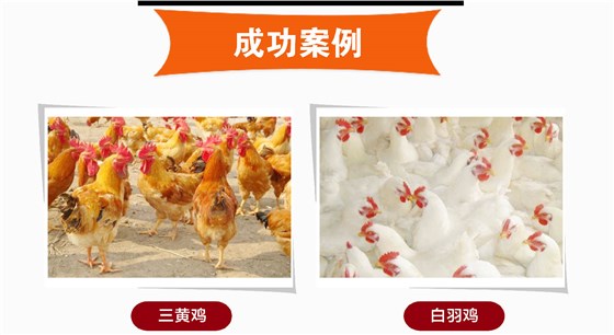 饲料添加剂