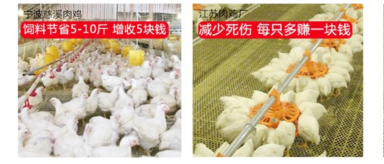 肉鸡预混料