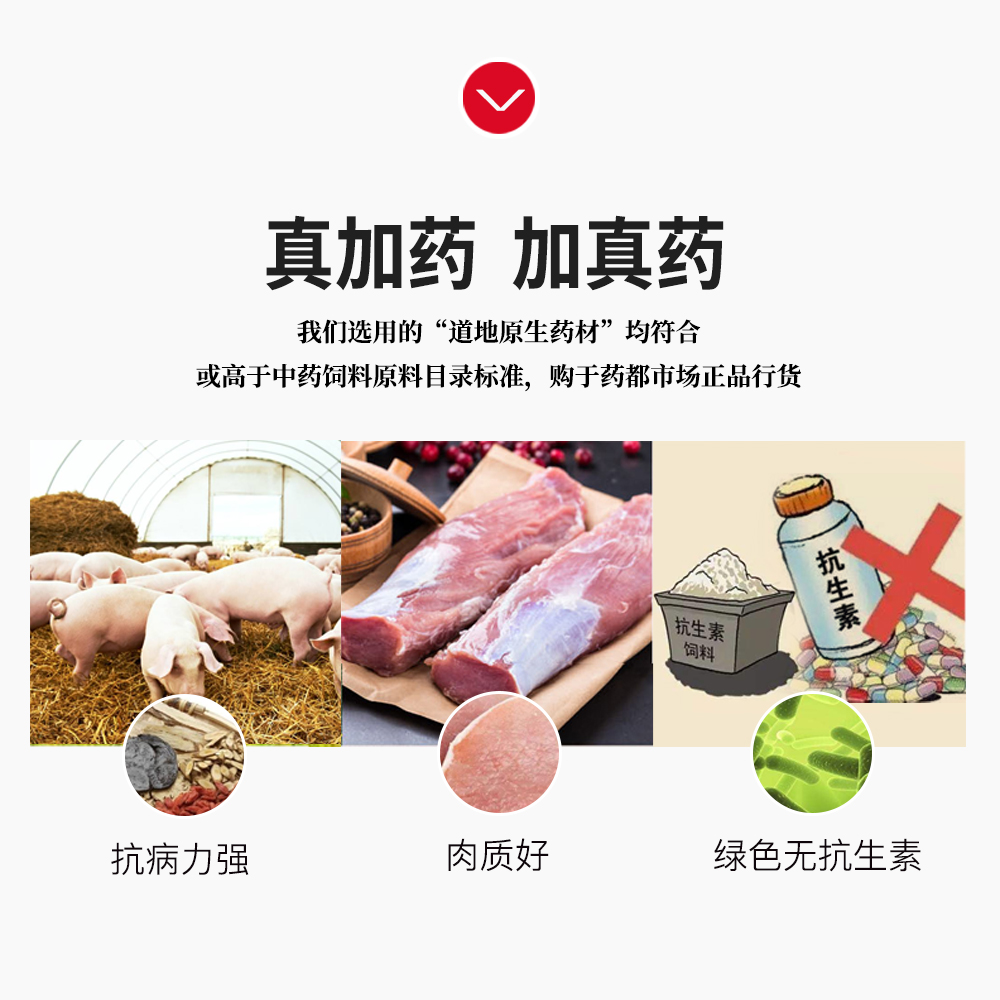 中药功能包预防非瘟