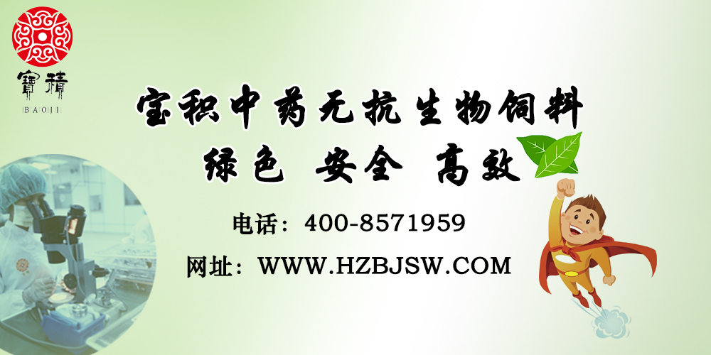 肉鸡预混料厂家