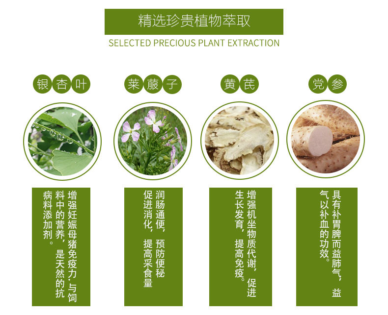 妊娠母猪专用预混料