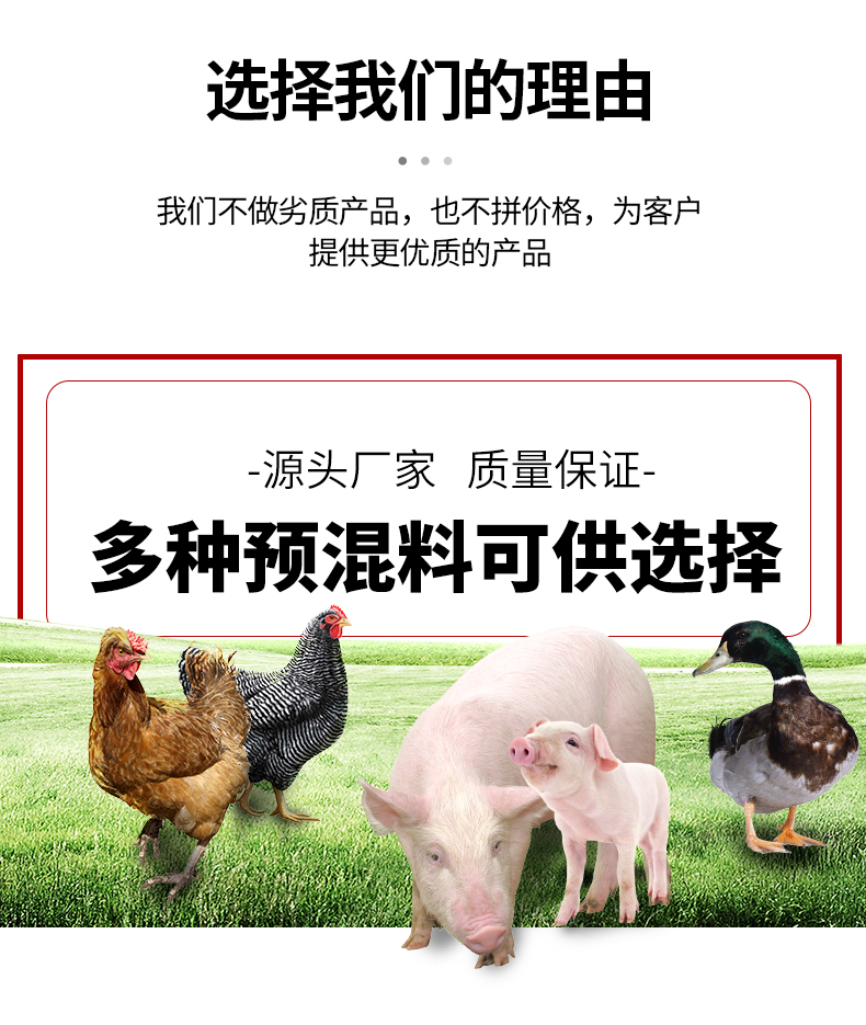 8%哺乳母猪预混料_04.jpg